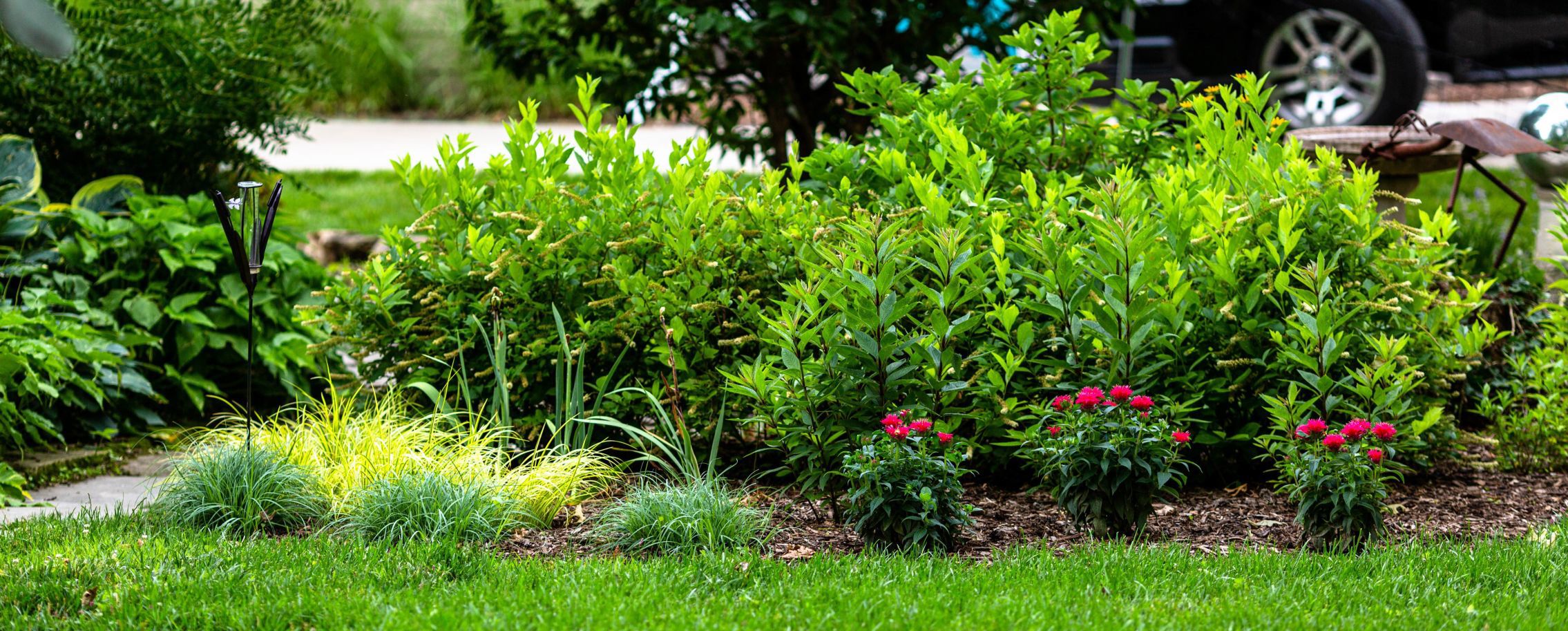 Wet garden